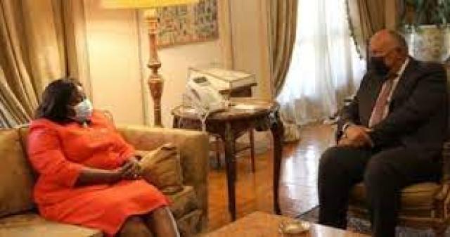 شكرى يبحث مع وزيرة خارجية جنوب السودان ملف سد النهضة