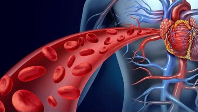 بمناسبة موجات الحرارة المرتفعة .. تلك الأطعمة تحميك من التعرض لهبوط الدورة الدموية