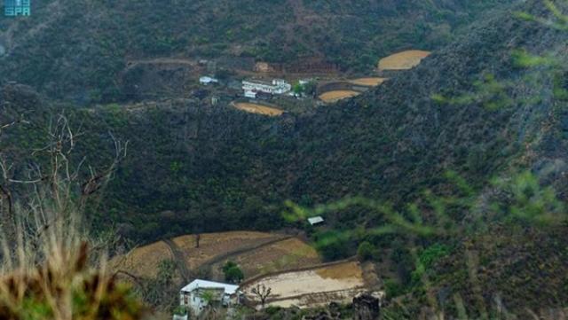 السعودية ترسّخ ريادتها العالمية في مكافحة القضايا والتغيرات المناخية عبر مبادرات نوعية لخفض الانبعاثات الكربونية