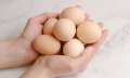 اسعار البيض داخل الأسواق المصرية...
