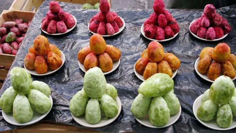 التين الشوكي