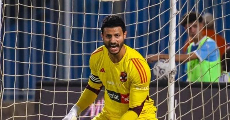 محمد الشناوي