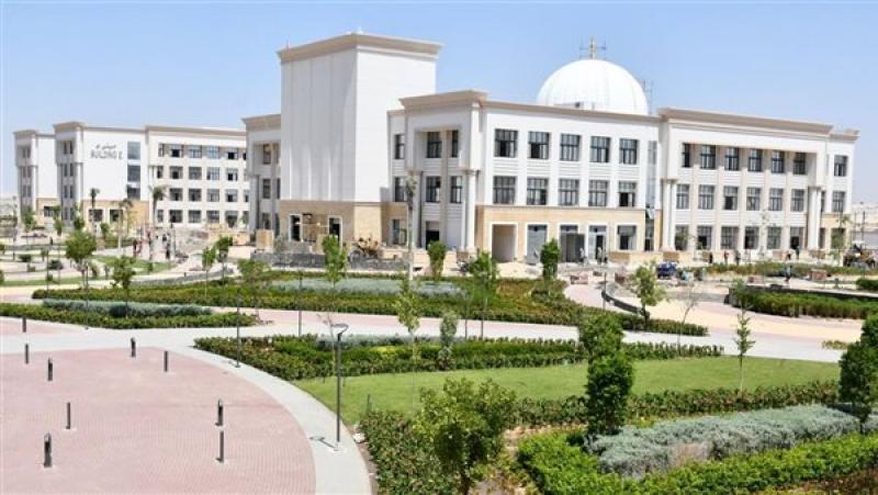 جامعة الإسماعيلية الجديدة الأهلية