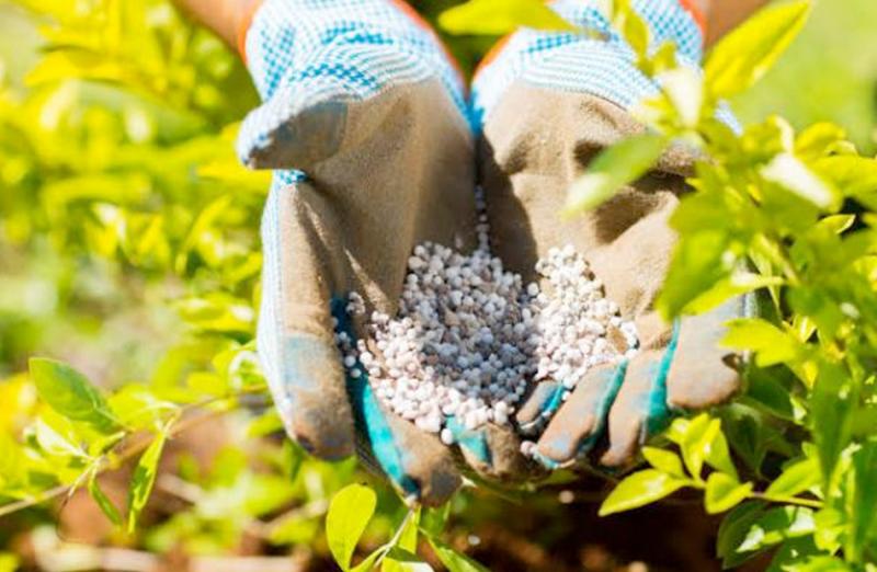 أسعار الأسمدة بالأسواق اليوم الخميس