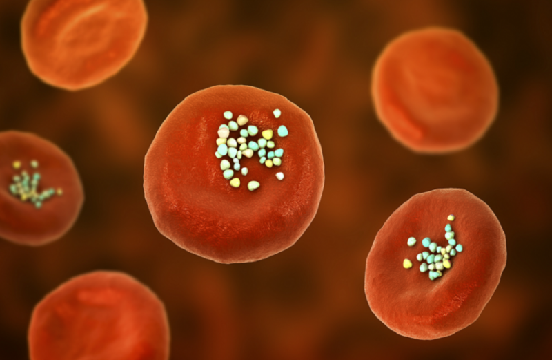 أرقام صادمة.. كم من البلاستيك الدقيق المسرطن يتسلل إلى جسدك دون أن تدري