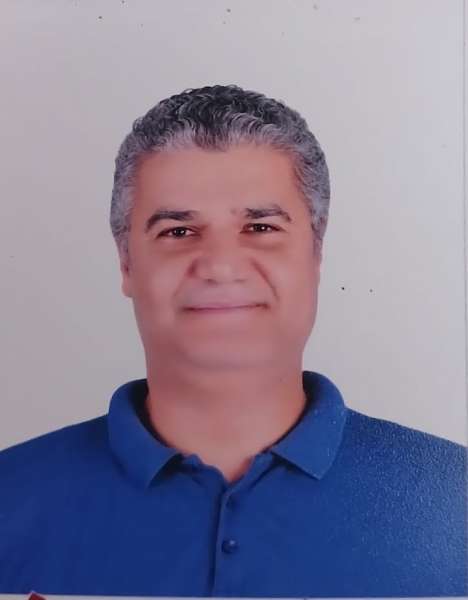 طريق الجنون فى مصر