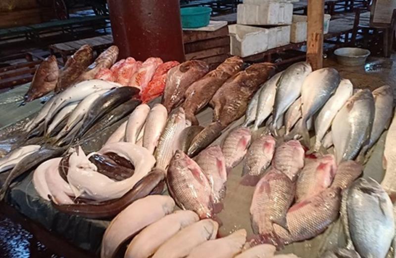 أسعار السمك والمأكولات البحرية اليوم الإثنين