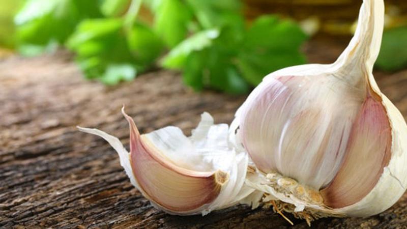 أقوى المضادات الحيوية.. الثوم على الريق درع طبيعي لصحتك